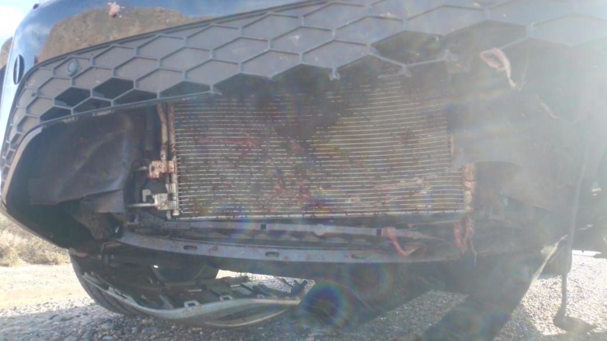 Quiso esquivar un animal y tuvo un accidente en plena ruta