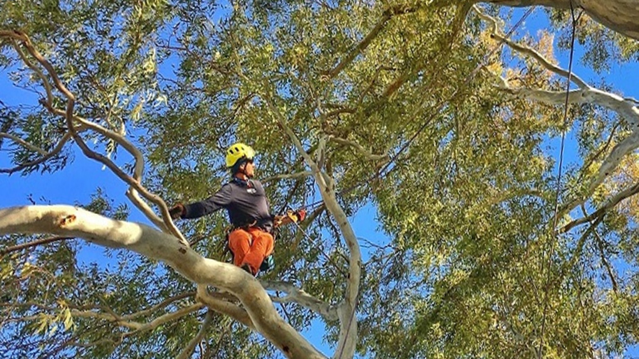 Joven de 23 años murió al ahorcarse con un arnés en un árbol: un confuso episodio