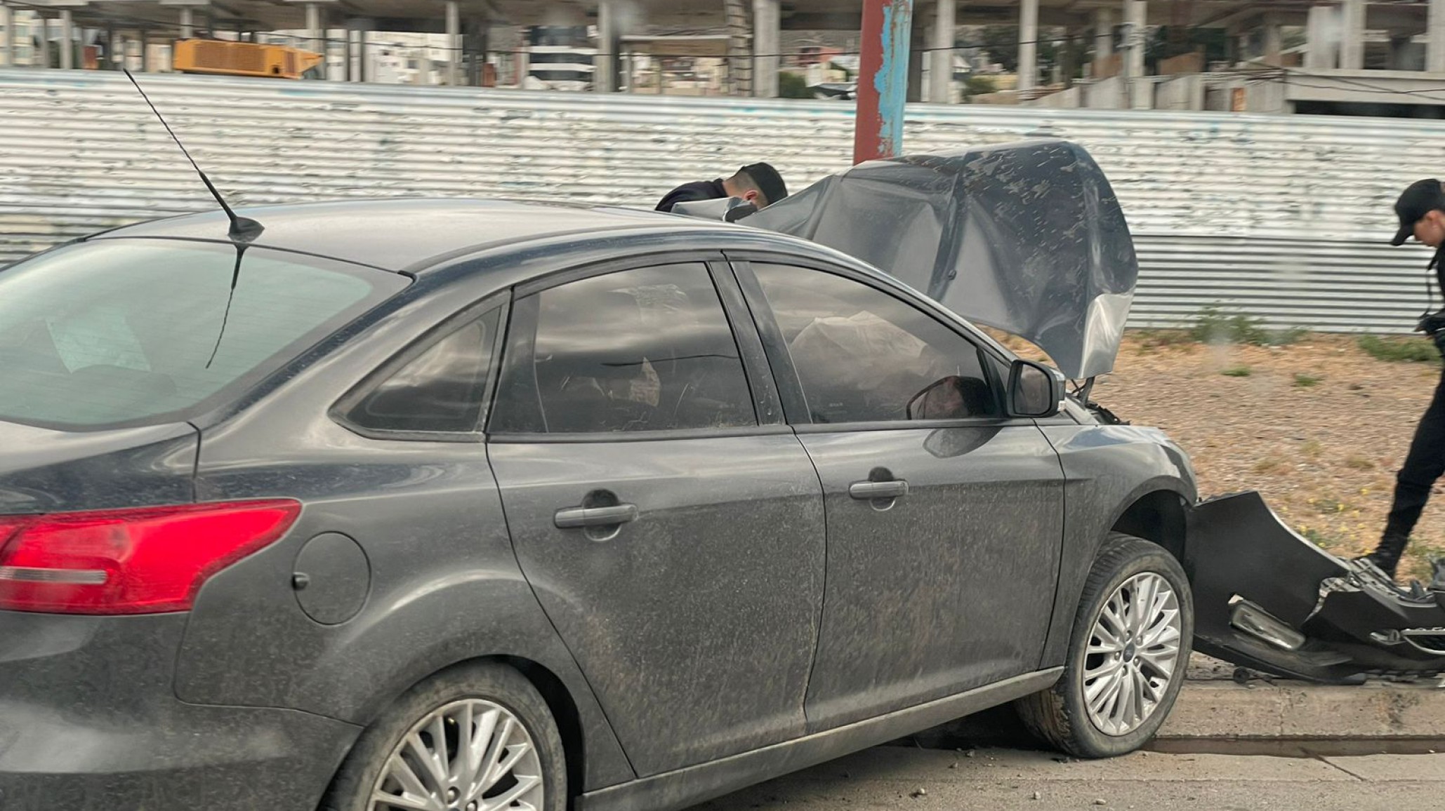 Chocó contra una palma en plena avenida
