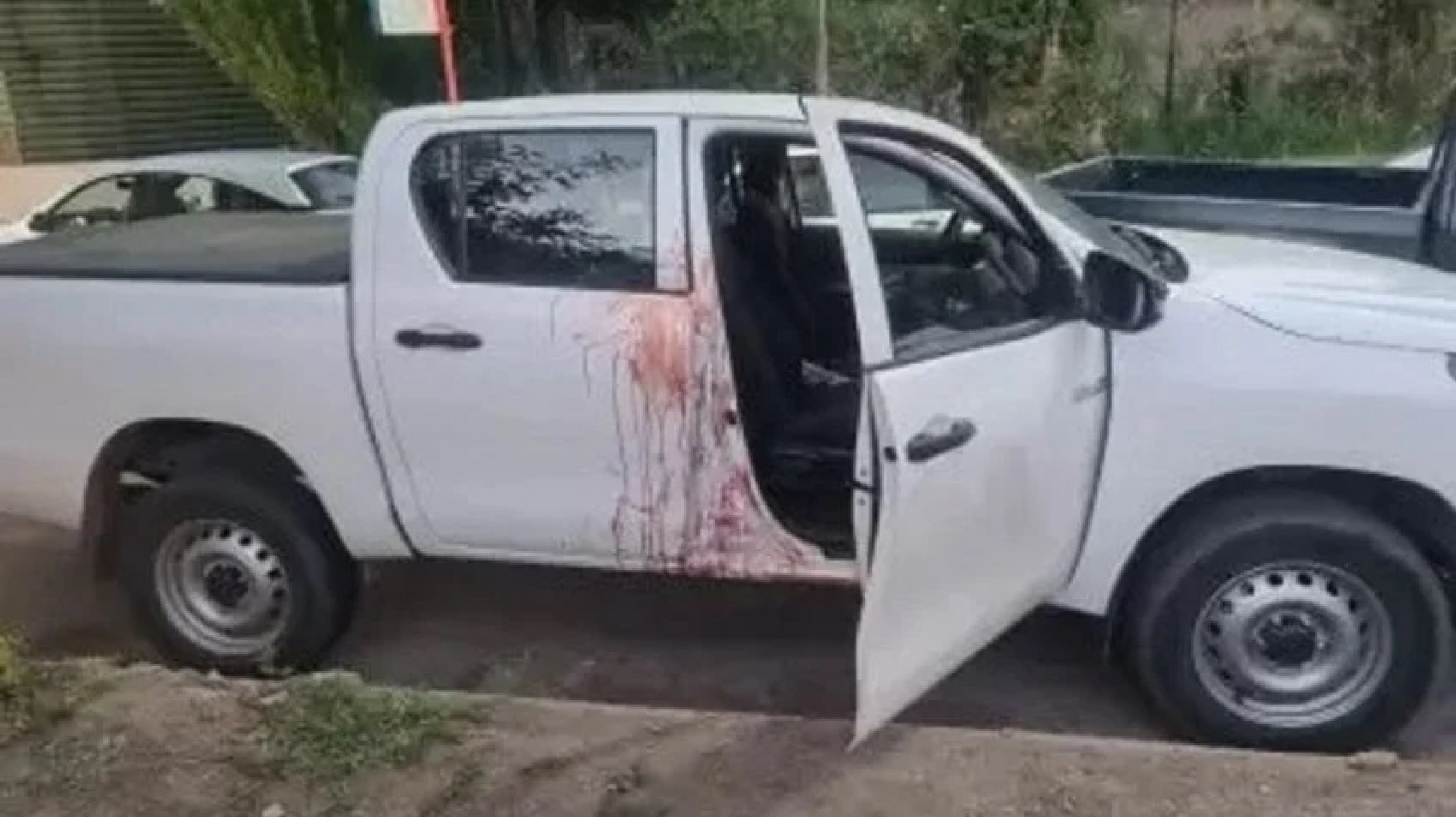 Joven chubutense muere tras ser apuñalada por su pareja y arrojada desde una camioneta