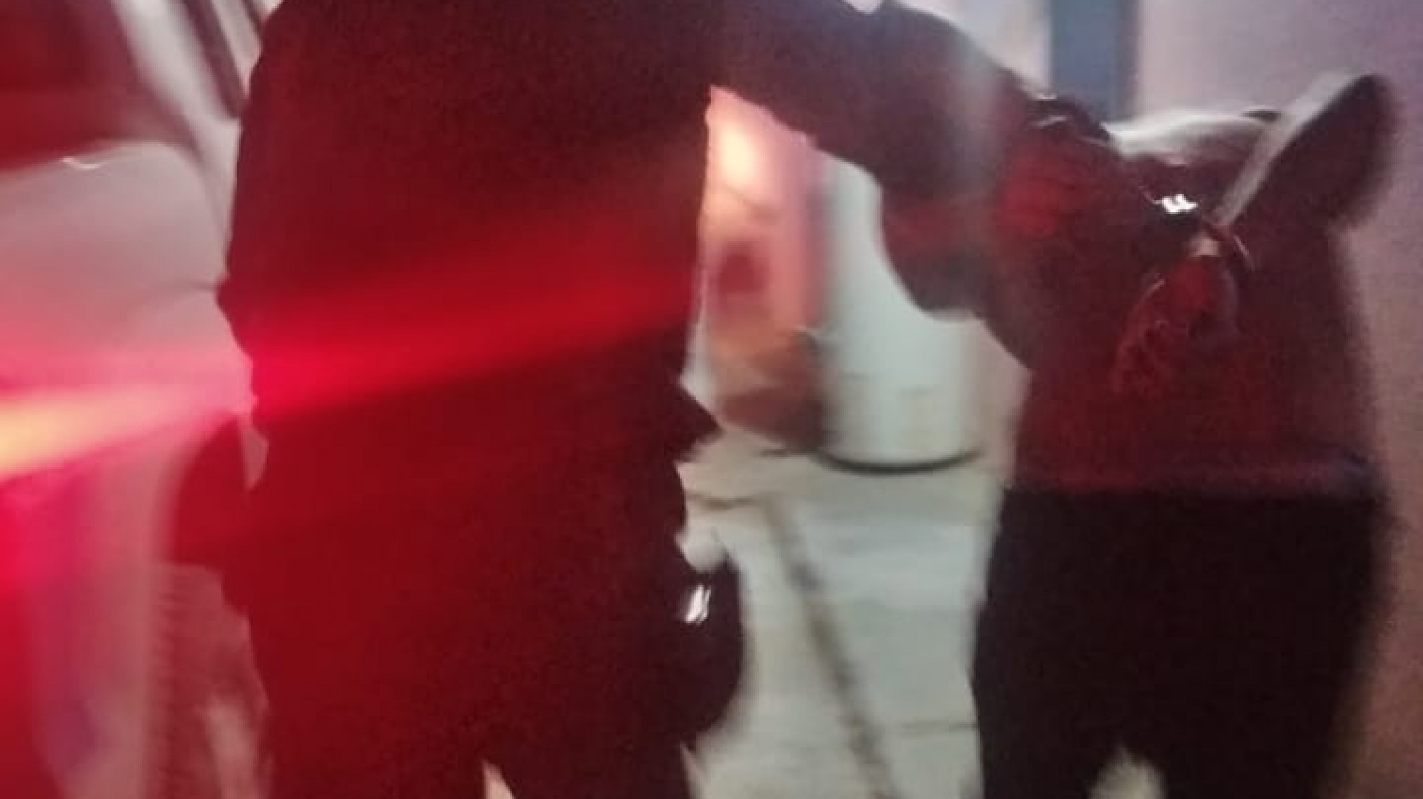 Joven detenido por causar daños en la casa de la suegra