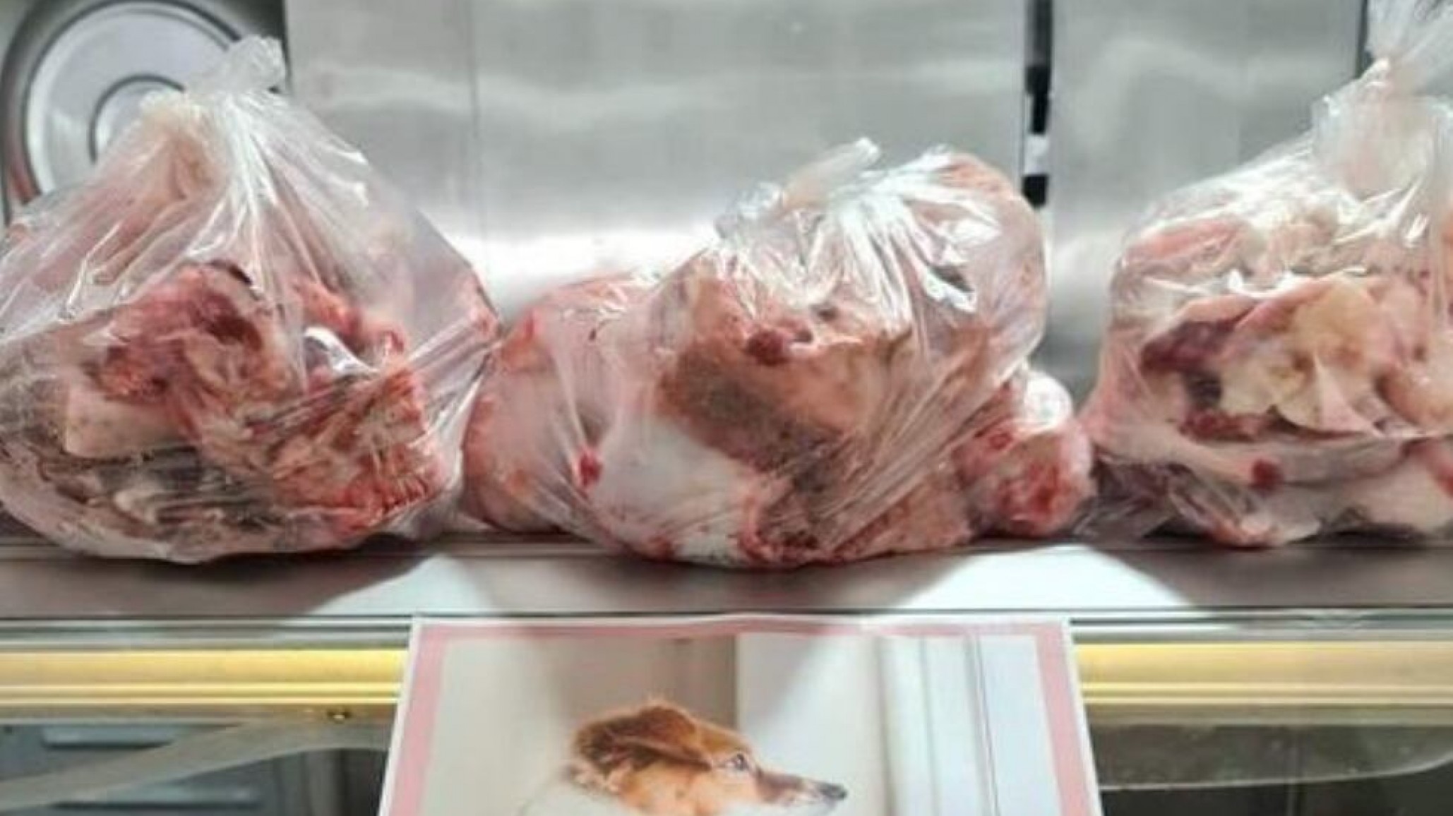 "La gente se lleva para estofado los huesos que antes eran para los perros"