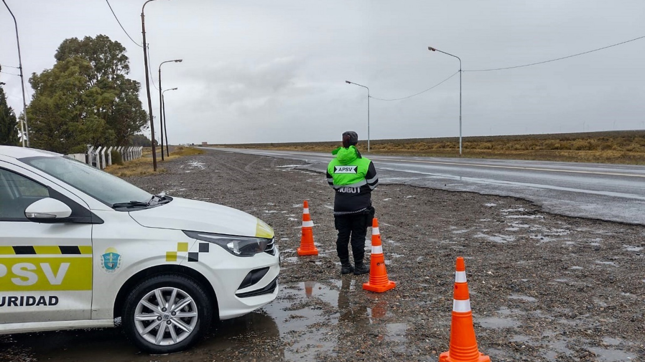 El seguro del auto va a seguir siendo obligatorio