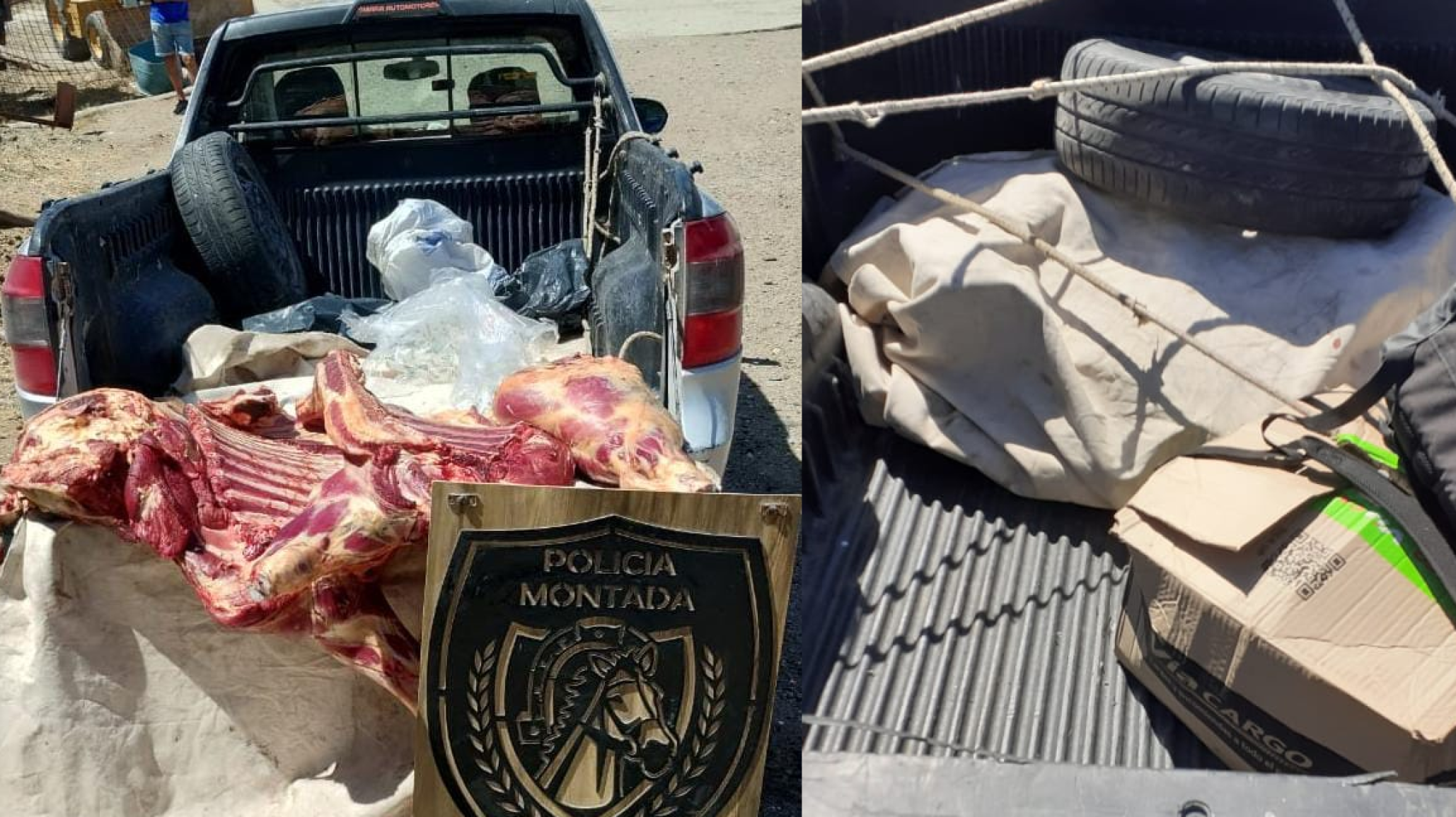 in cena navide馻! Les decomisaron una vaca y un cordero en Ruta 26