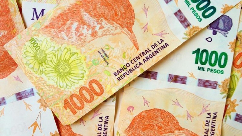 El BCRA evaluaría incorporar los de $20.000 y $50.000