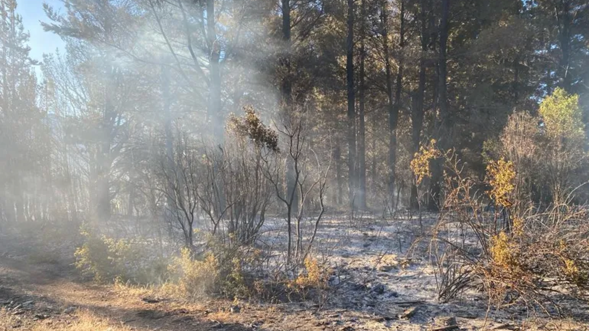 Incendio Epuyén: La situación pudo ser controlada con éxito