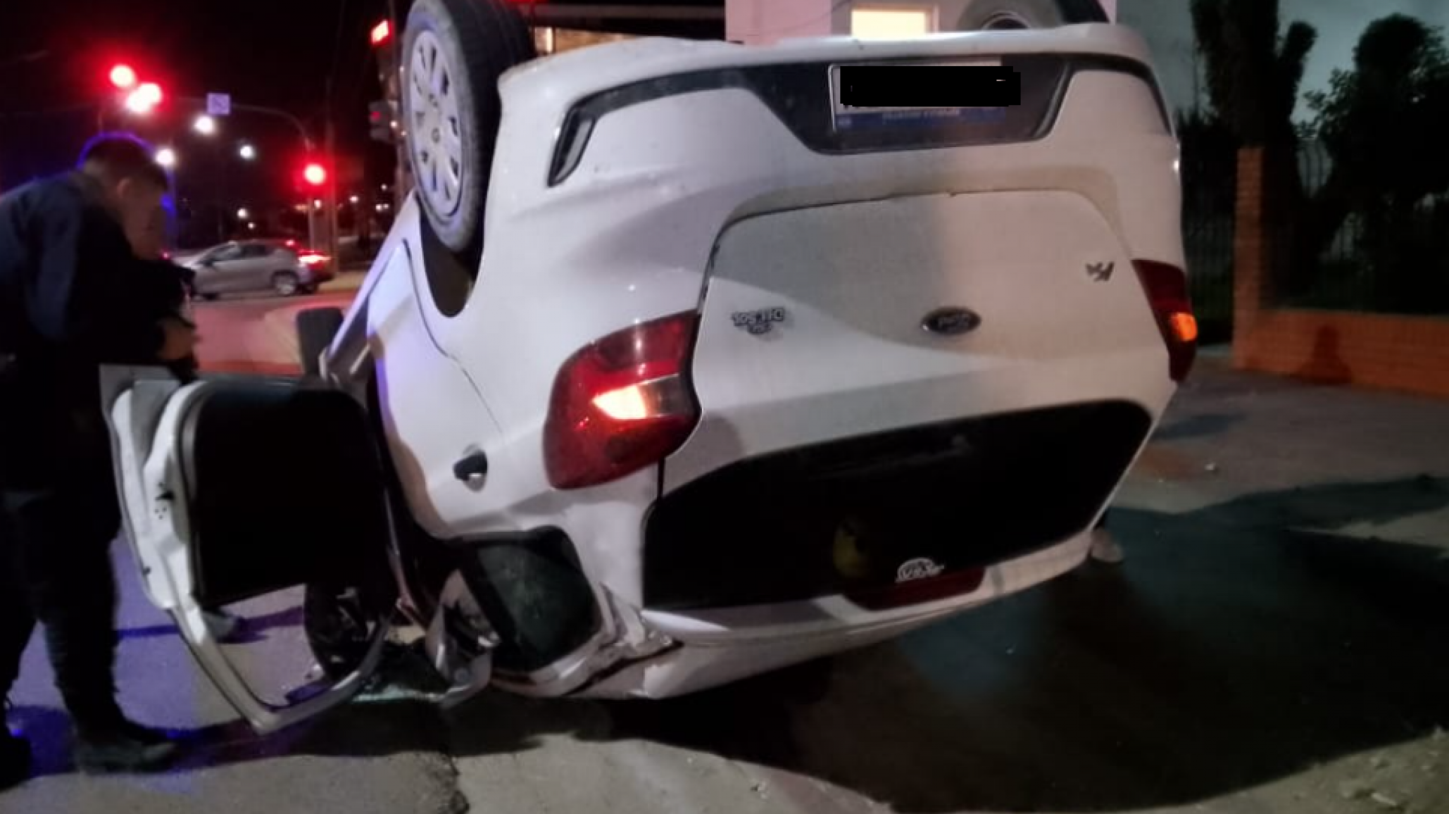 Un auto volcó y otro terminó contra una palma "septuagenaria quedó en el suelo"