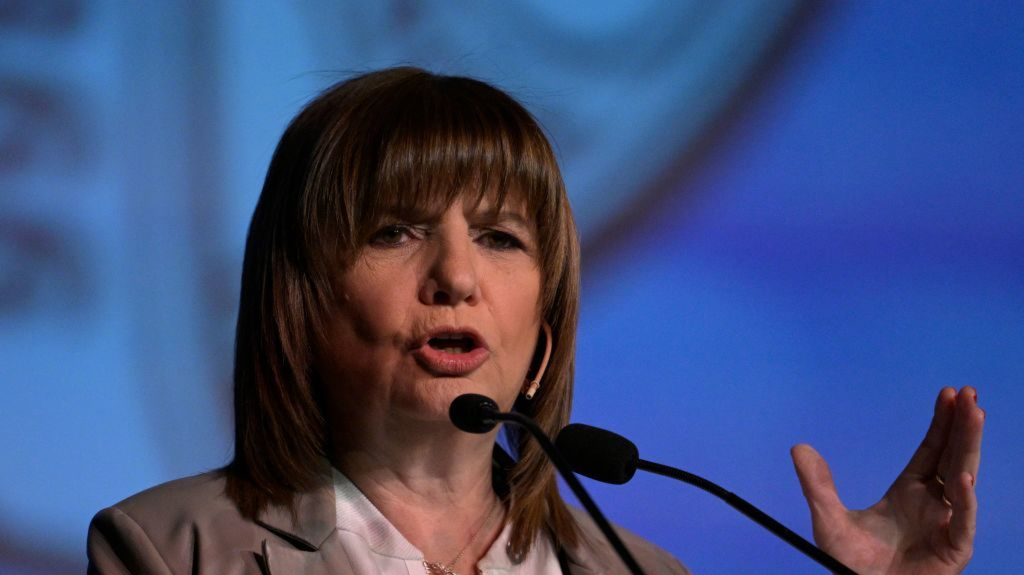 Bullrich llamó a darle "un cheque en blanco a Milei"
