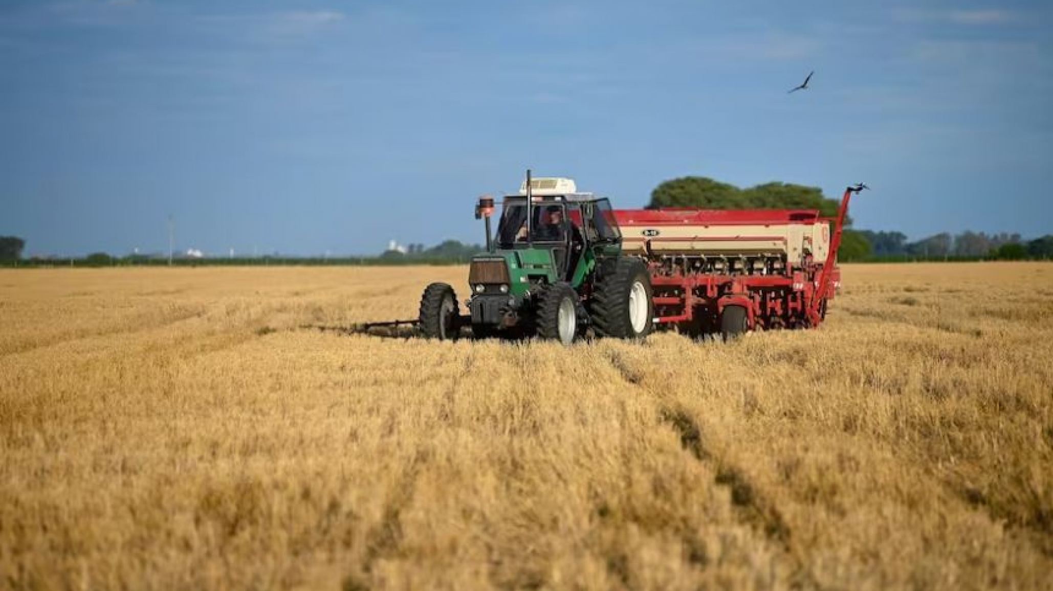 El campo otra vez en alerta: prorrogan el recargo en la tasa de interés para los productores de soja