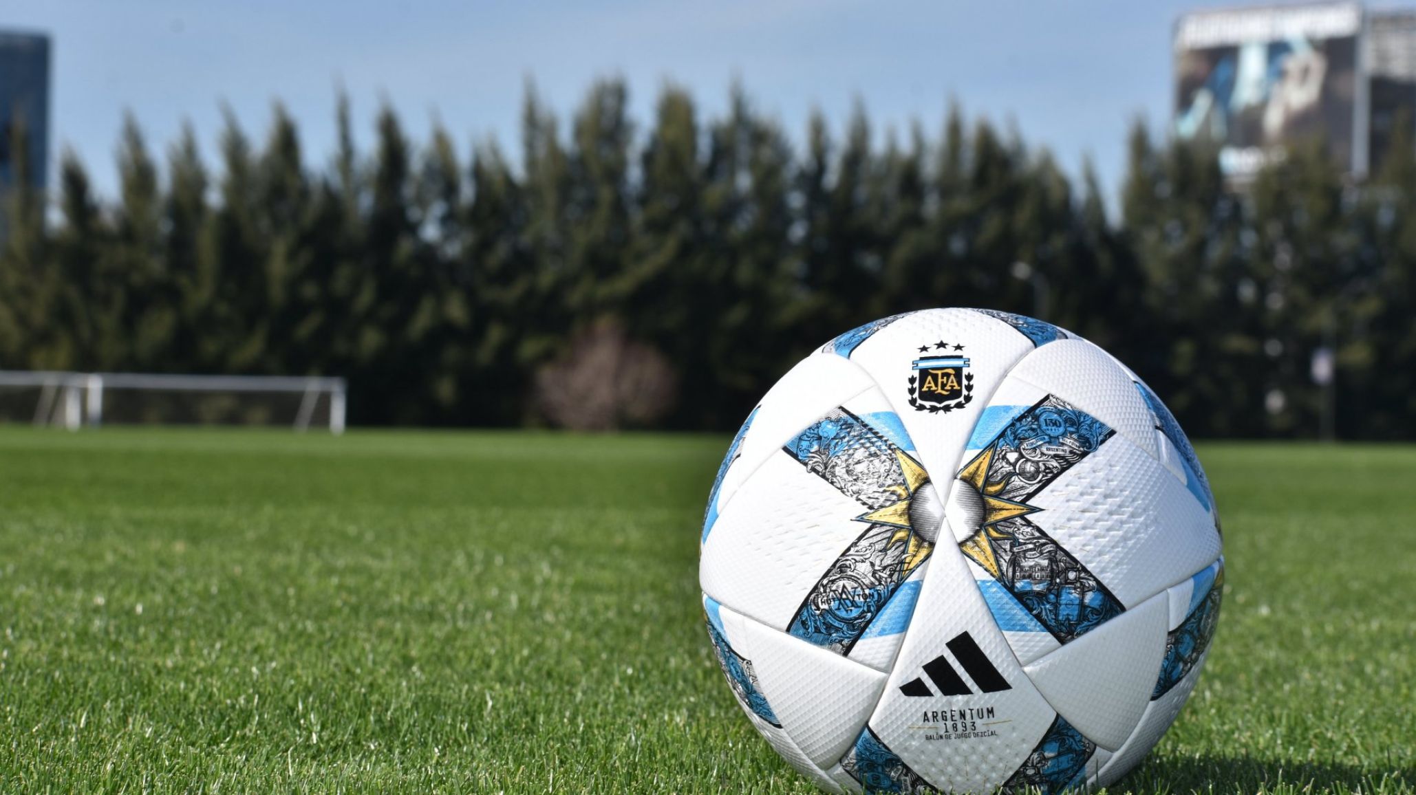Futbol Argentino: Ascensos y Descensos del 2023
