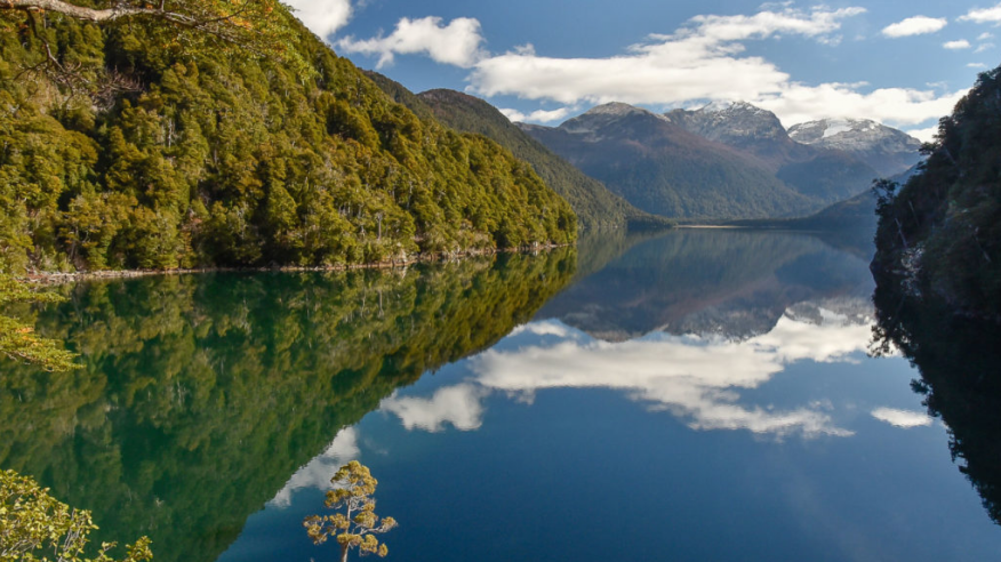 En Parque Los Alerces están preocupados por DNU "acá no hay hay puestos políticos, el brigadista tiene una capacitación "