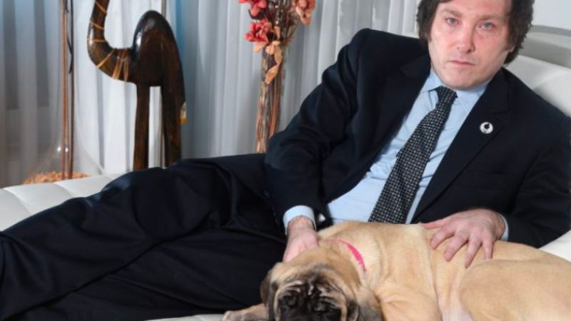 Los perros de Milei tendrán hogar asegurado: "mis HIJITOS vendrán a vivir a la Quinta de Olivos"