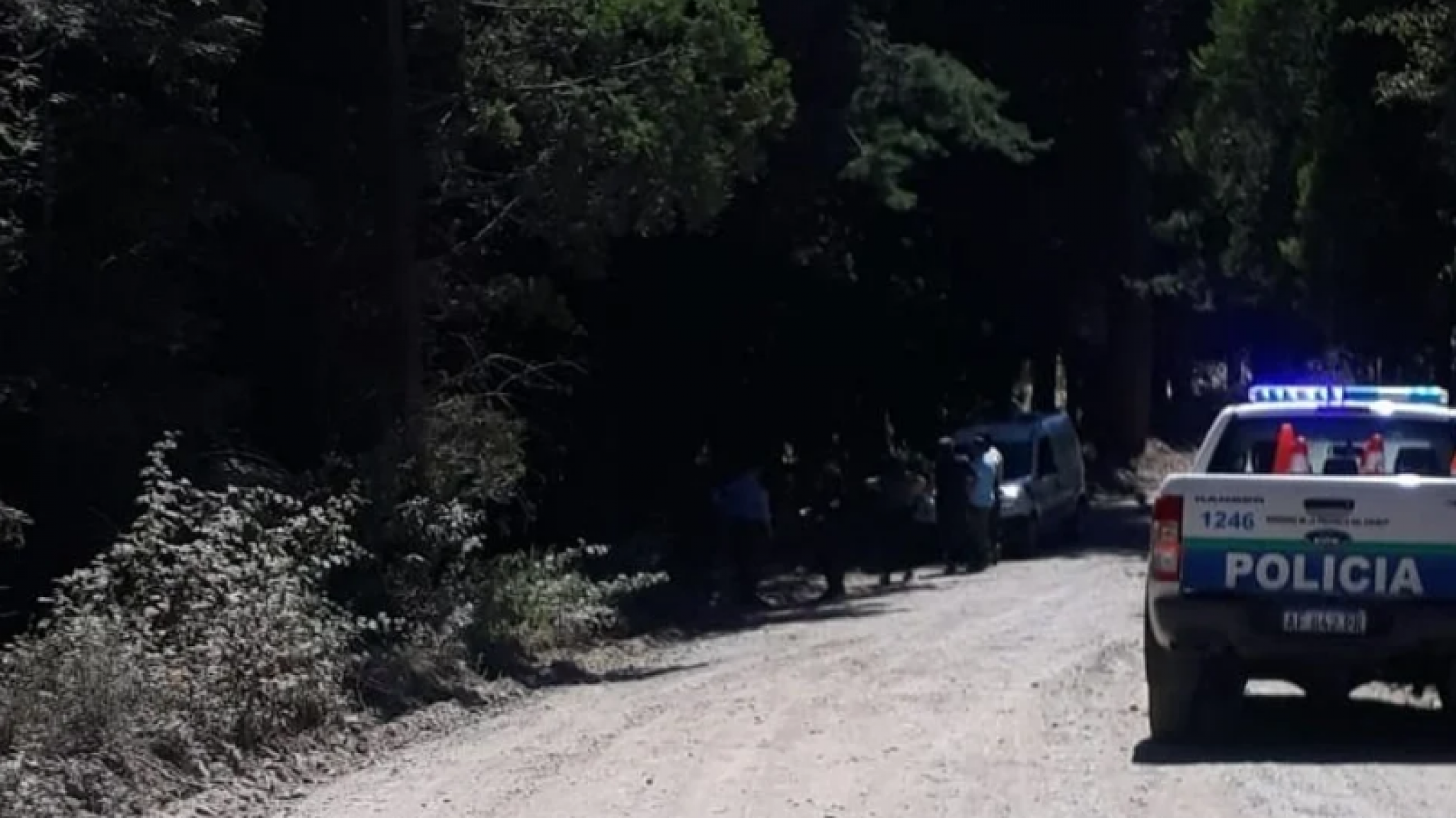 Tragedia: Ciclista fallece tras impactar contra un árbol en Epuyén