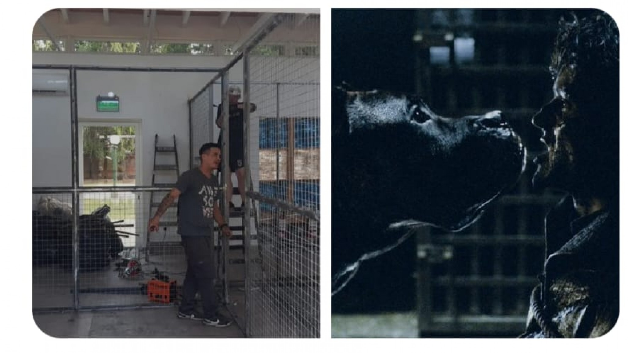 ¿Qué tiene en común Milei con Game of Thrones?