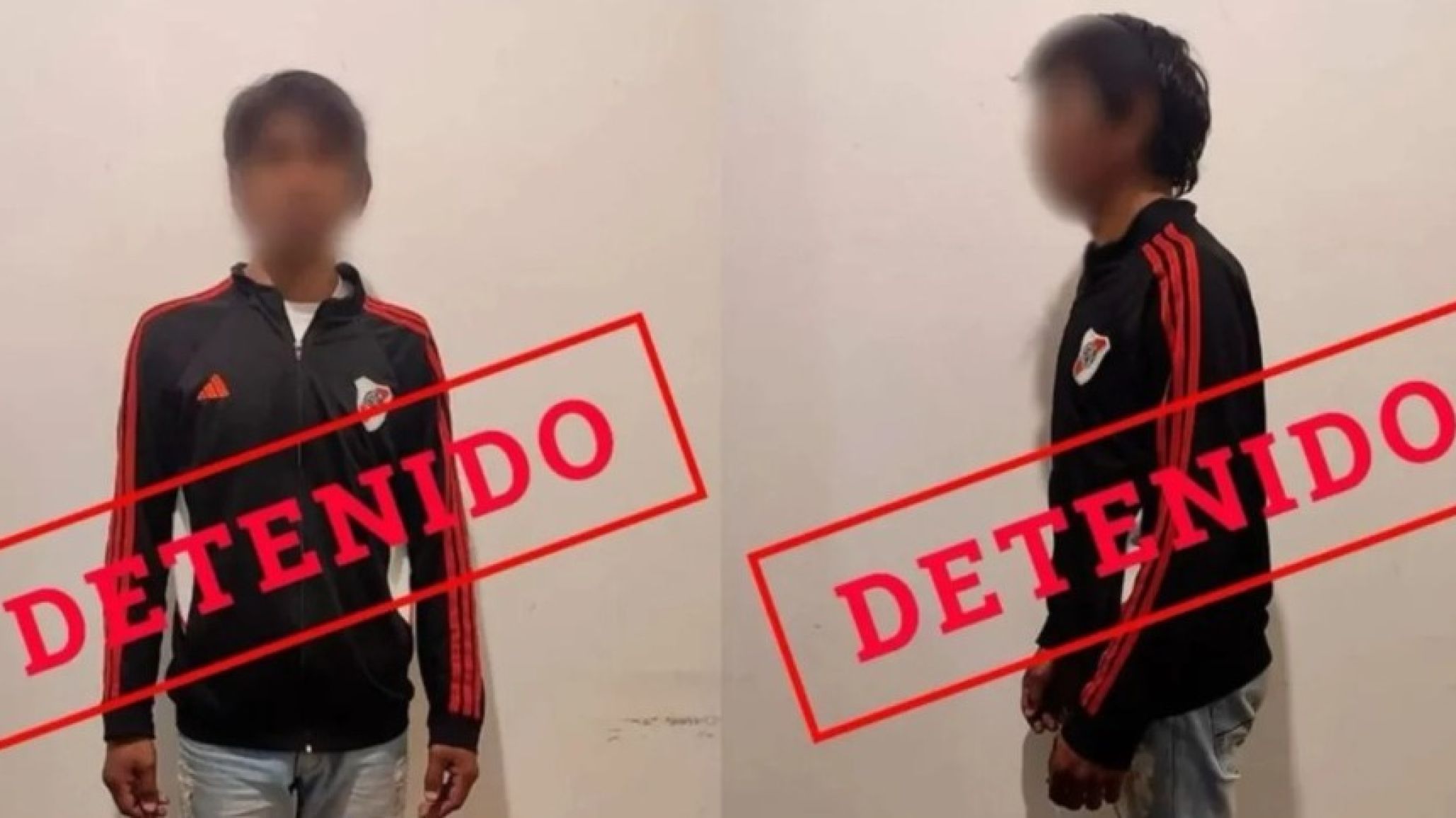 Quedó detenido el "mano derecha" de Jones Huala