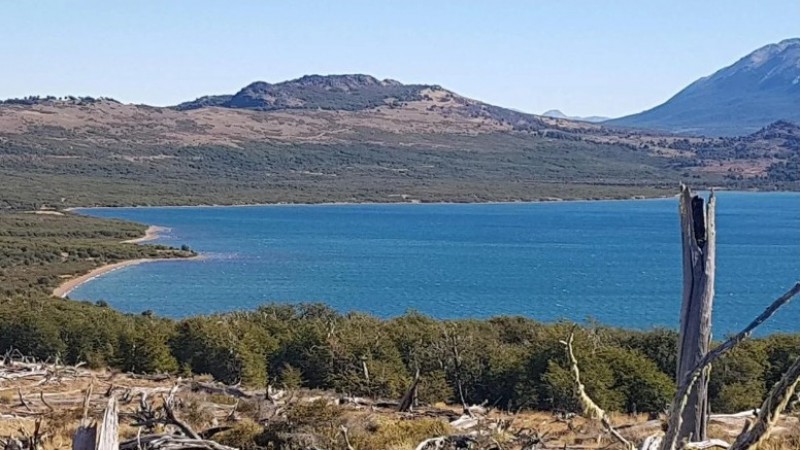 Tragedia en Río Pico: Turista bahiense murió ahogado y continúa la búsqueda de su cuerpo