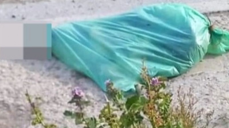 Denuncian crueldad extrema con perra "la abandonaron en una bolsa y agonizando"