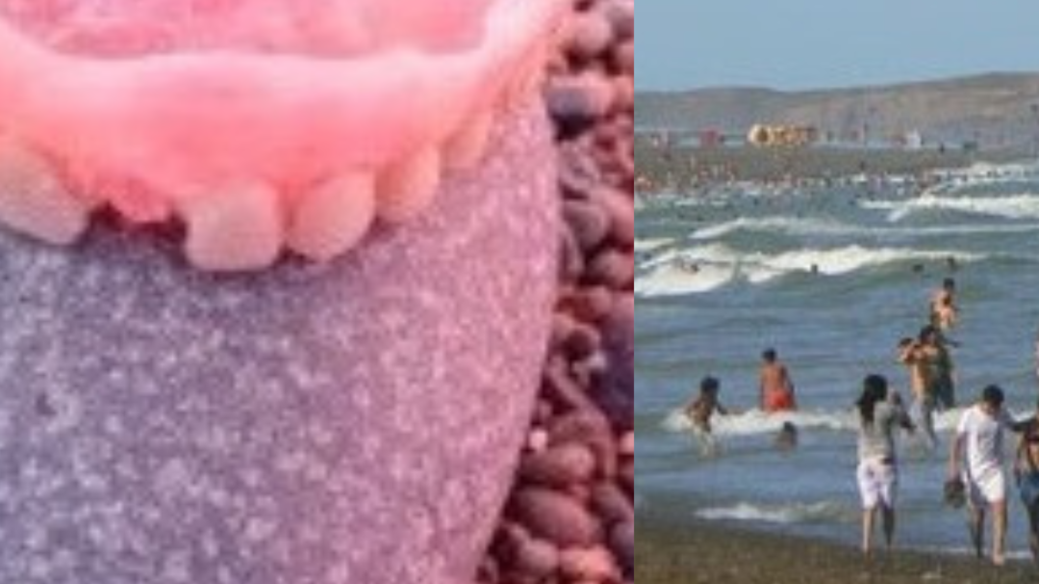 Olvidaron una dentadura en la Playa y los guardavidas buscan al propietario