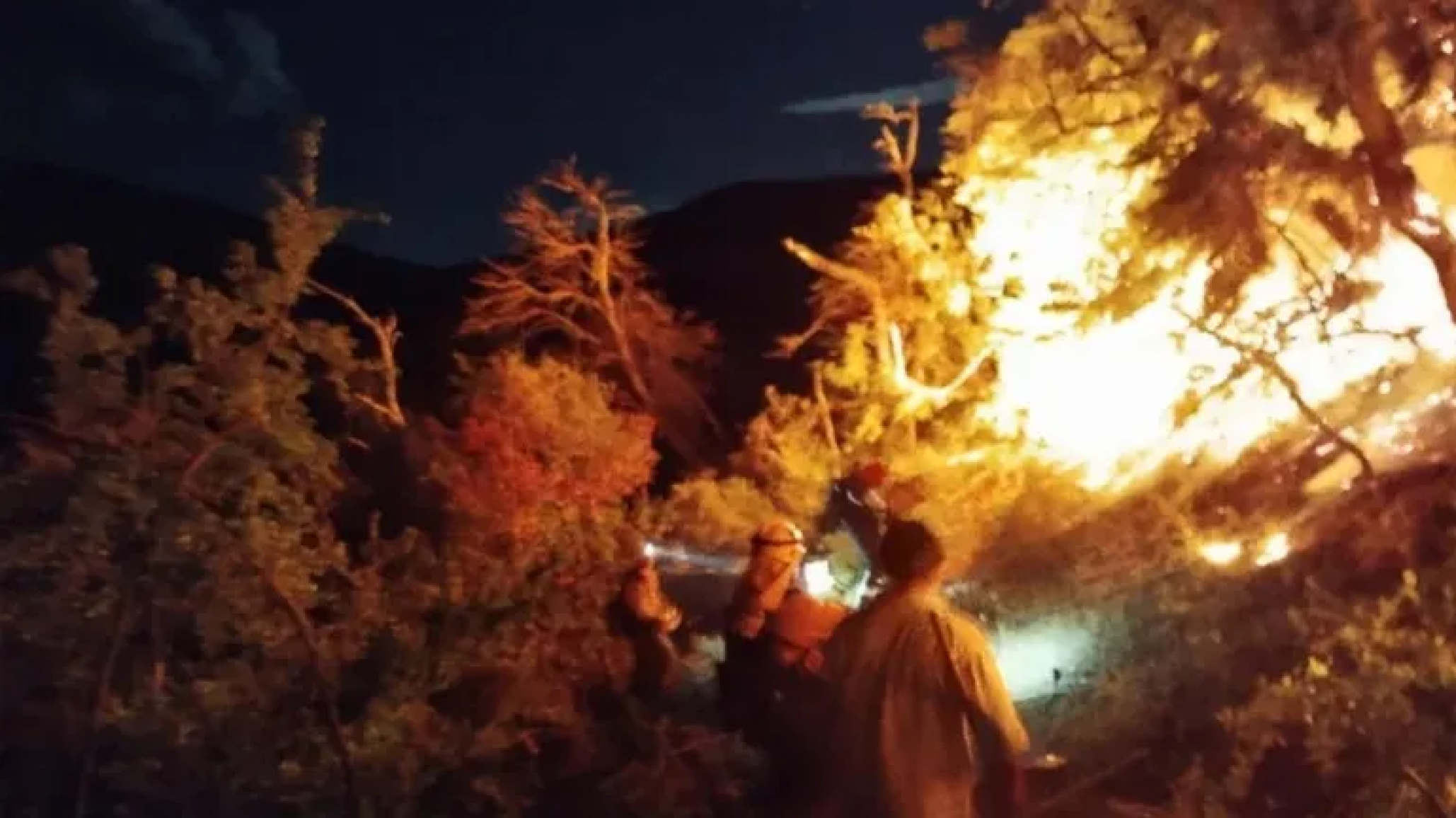 Incendio en el Parque Nacional Los Alerces ¿Fue intencional?