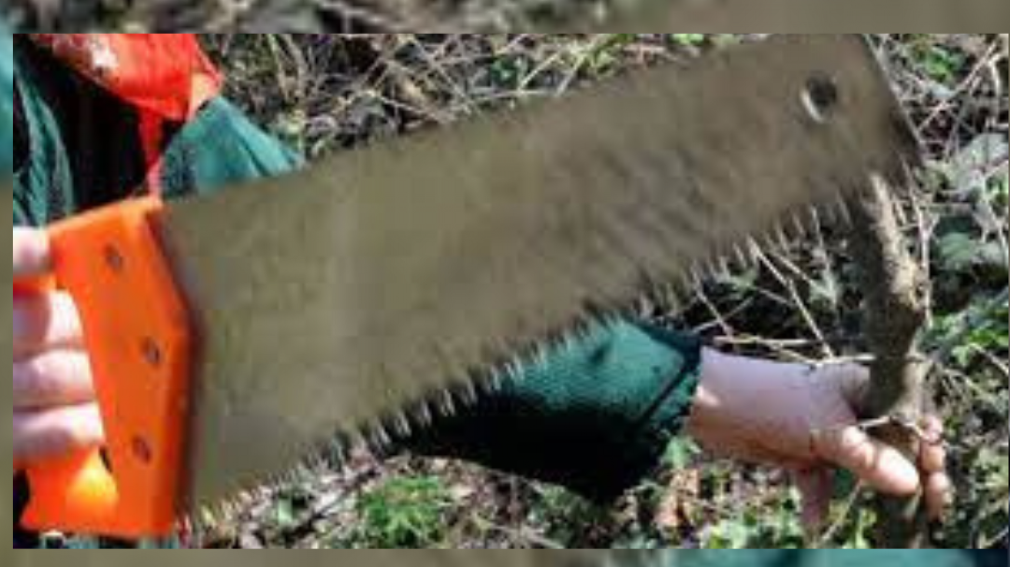 Tiene 18 años, robó a un adolescente y lo amenazó con un serrucho