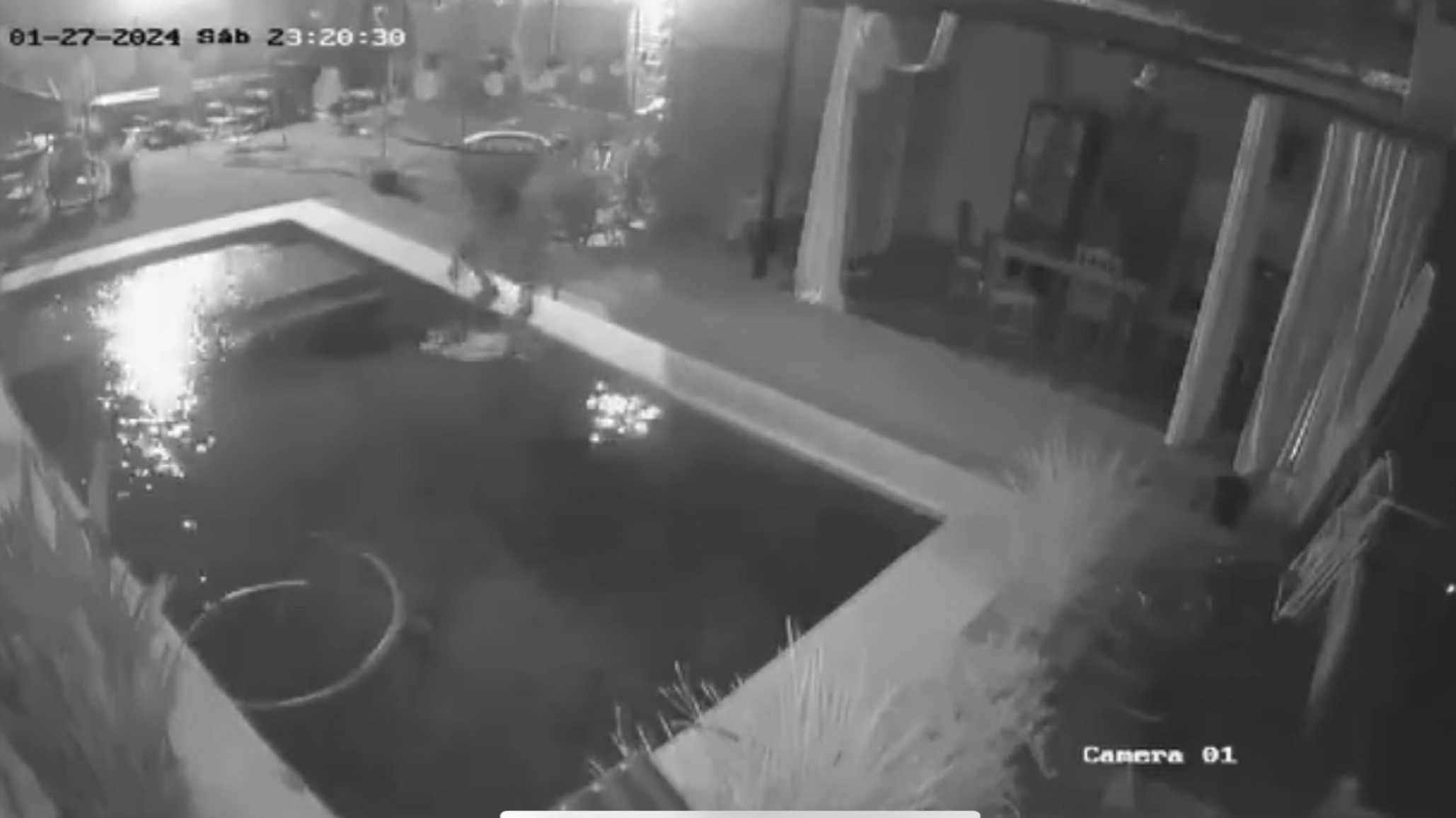 El adolescente que ahogó el perro se escapó y robó una moto