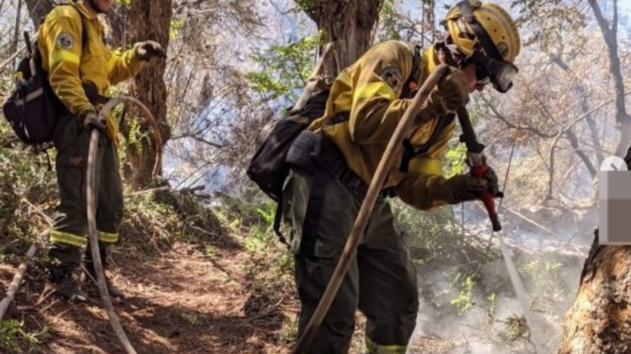 Parques Nacionales: La preocupación por 600 trabajadores que quedan sin contrato en 4 días