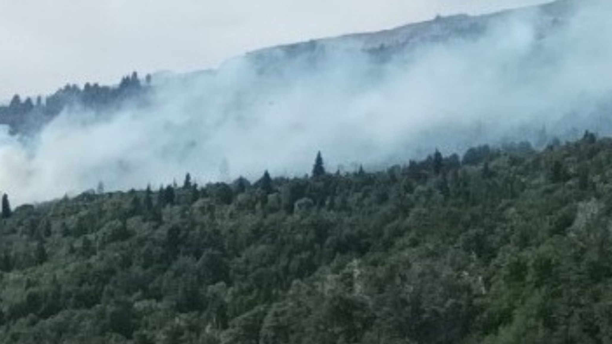 Incendio en Los Alerces: Continúa la batalla y ya hay afectadas cerca de 3000 hectáreas