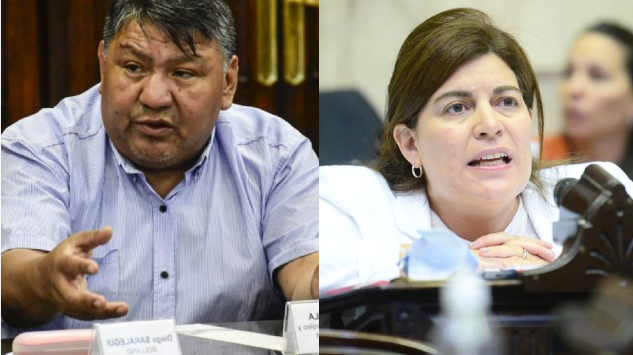 Ana Clara Romero en la lista blanca y Loma Ávila en la lista negra del presidente Milei