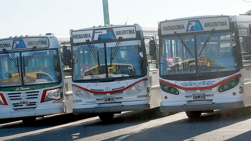Habemus colectivos: Dictaron conciliación y se levantó el paro