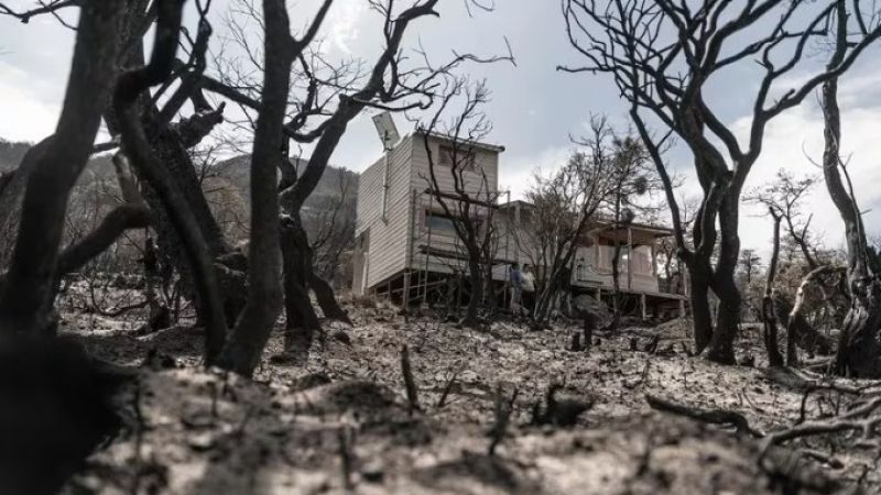 La inexplicable supervivencia de Monte Lontano: un oasis en medio del desastre del incendio