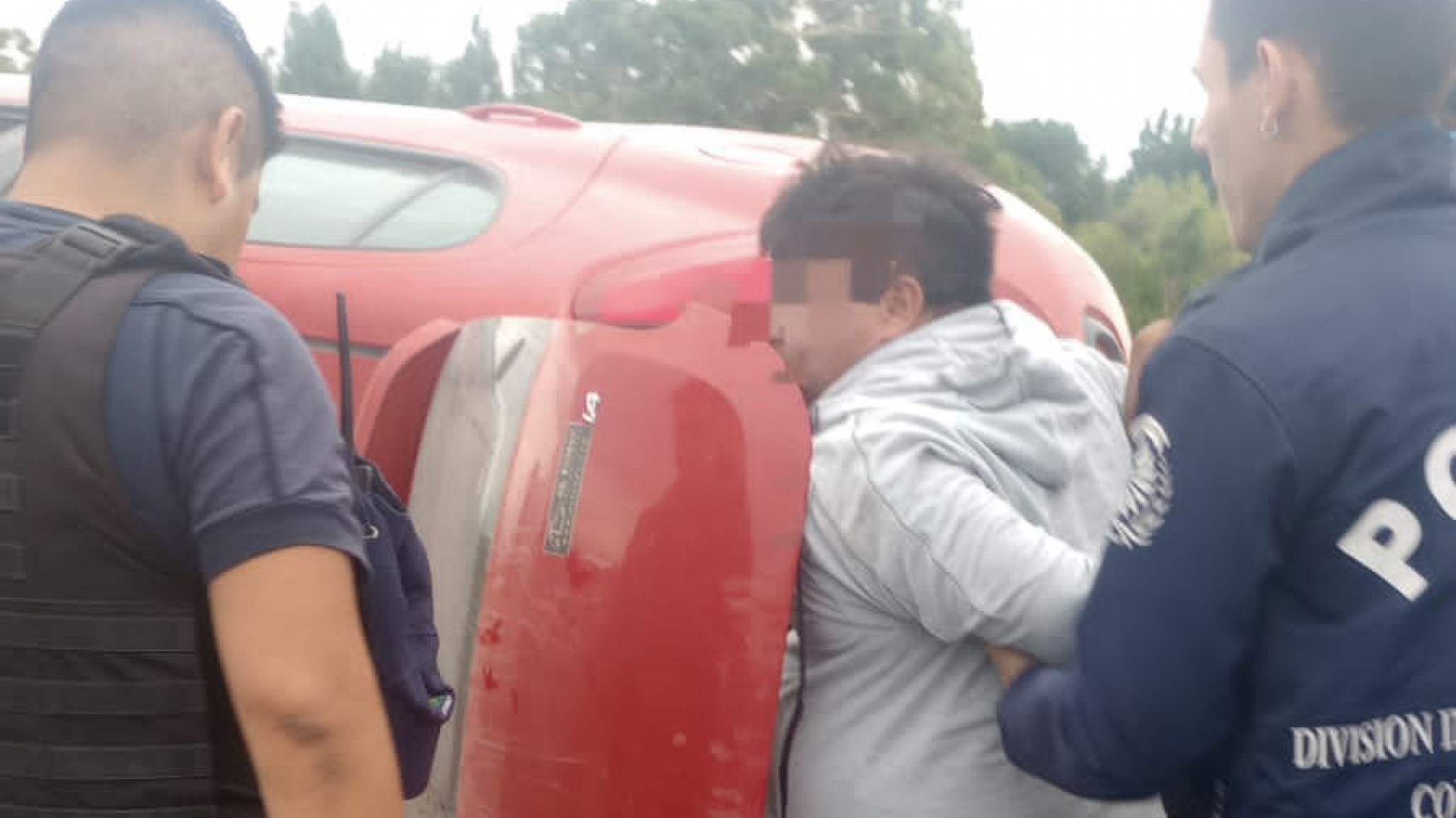 Huyó de la policía y volcó "llevaba tres porcinos faenados"