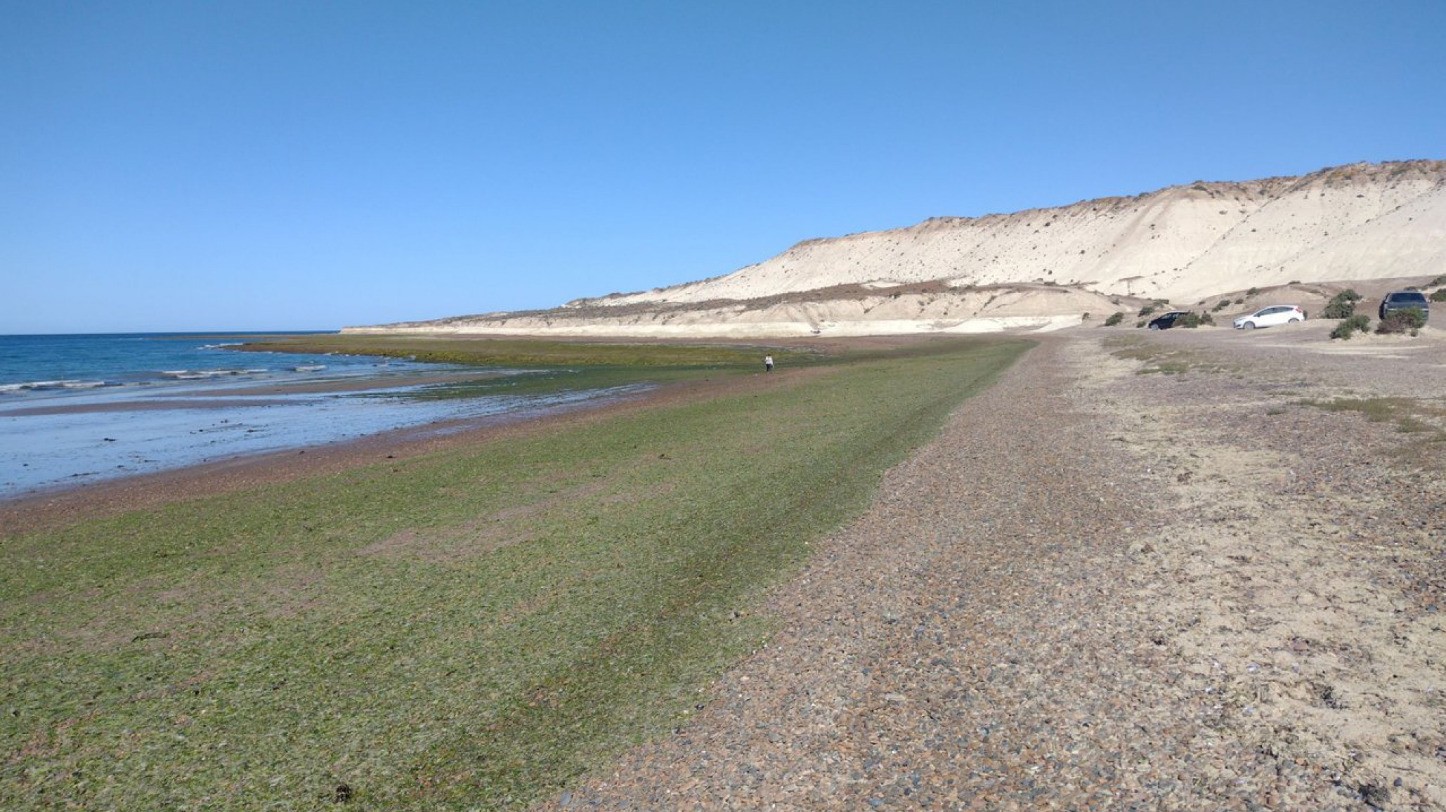Escalofriante: Hallan restos óseos humanos en una playa de Puerto Madryn