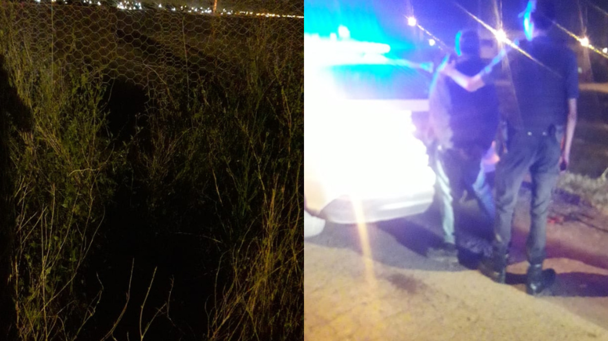 Delincuente entró a robar a Zoonosis y atacó al sereno