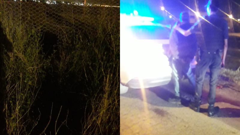 Delincuente entró a robar a Zoonosis y atacó al sereno