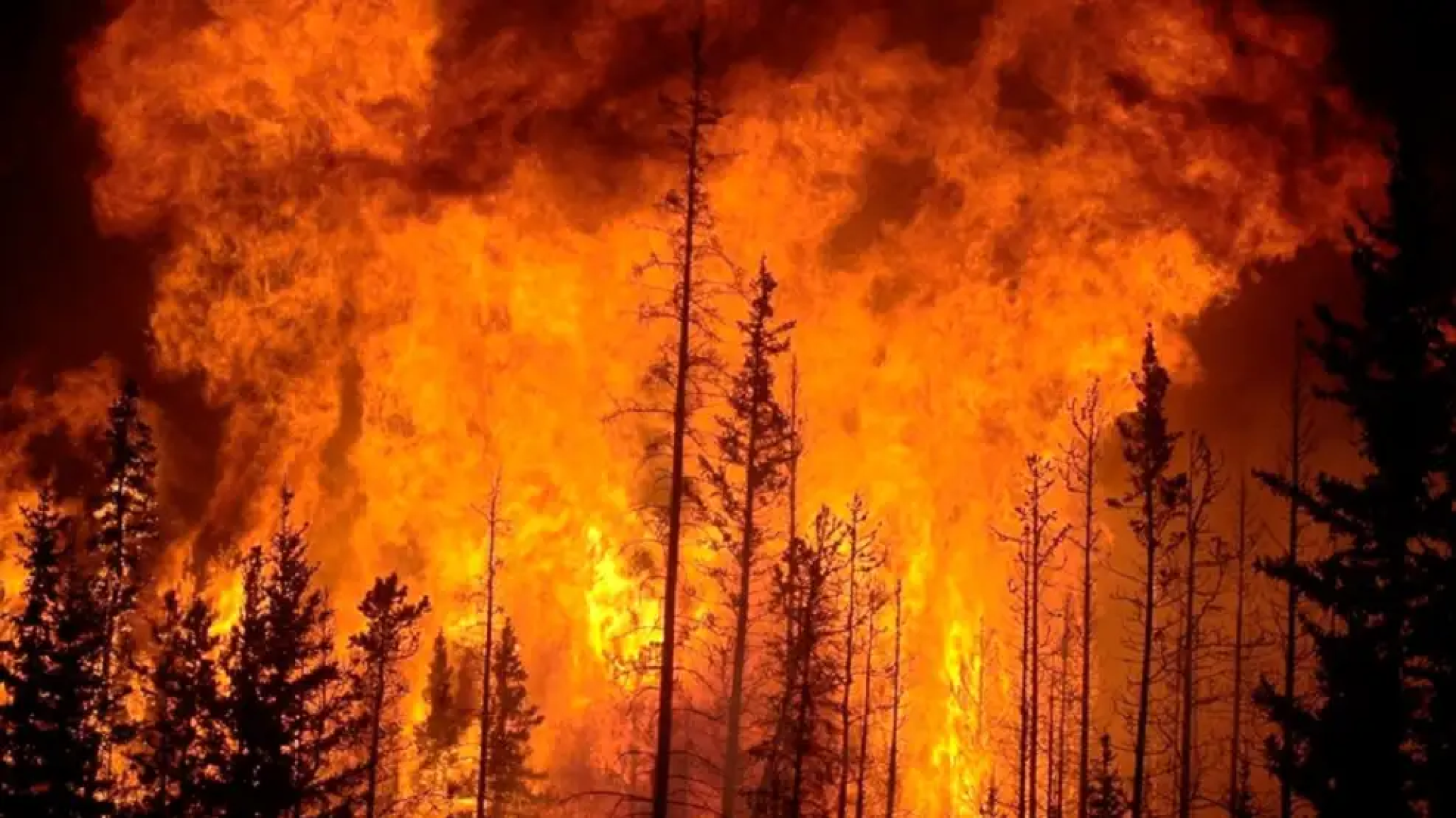 Chile: aumentó a 133 el balance provisional de muertes por los incendios