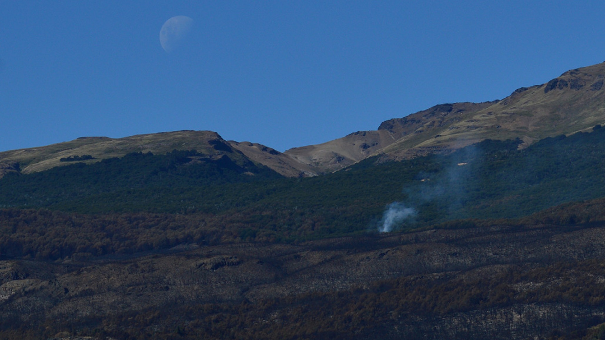 Parque Nacional Los Alerces: grandes avances en el control del incendio forestal