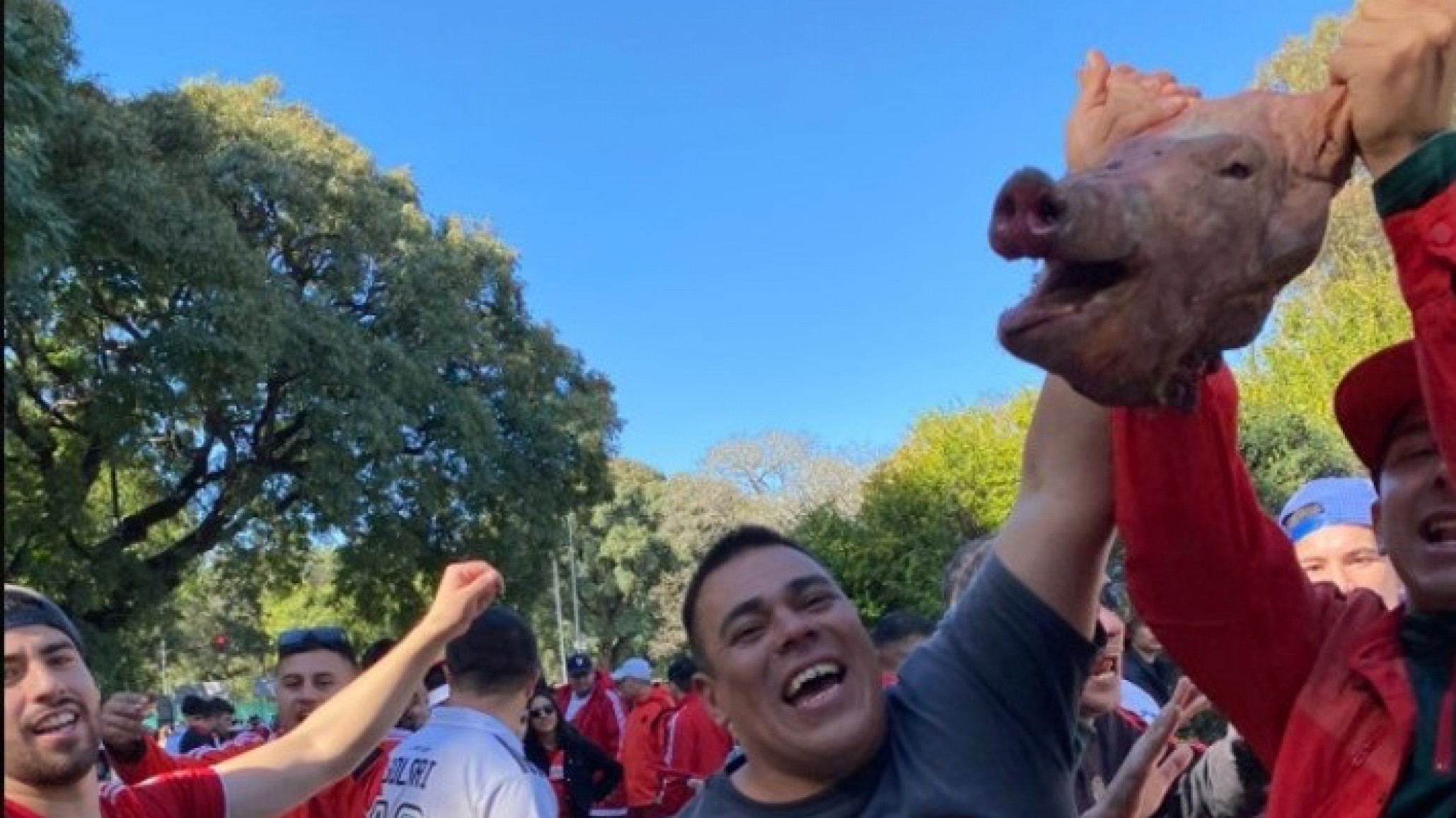 Confiscaron tres cabezas de chancho a un hincha de River