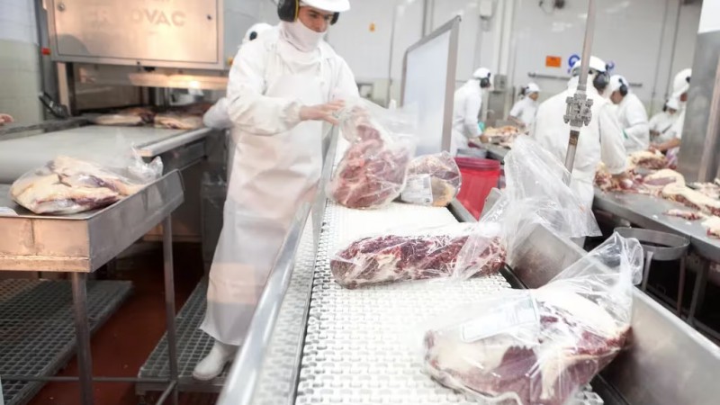 Argentina ganó el reconocimiento para exportar carne carne bovina y ovina a Israel