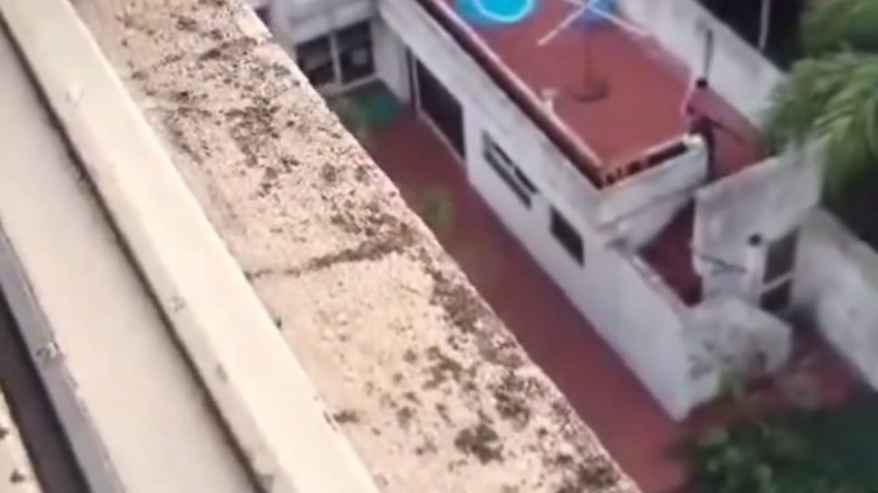 Video: le disparo a un gato con rifle de aire comprimido