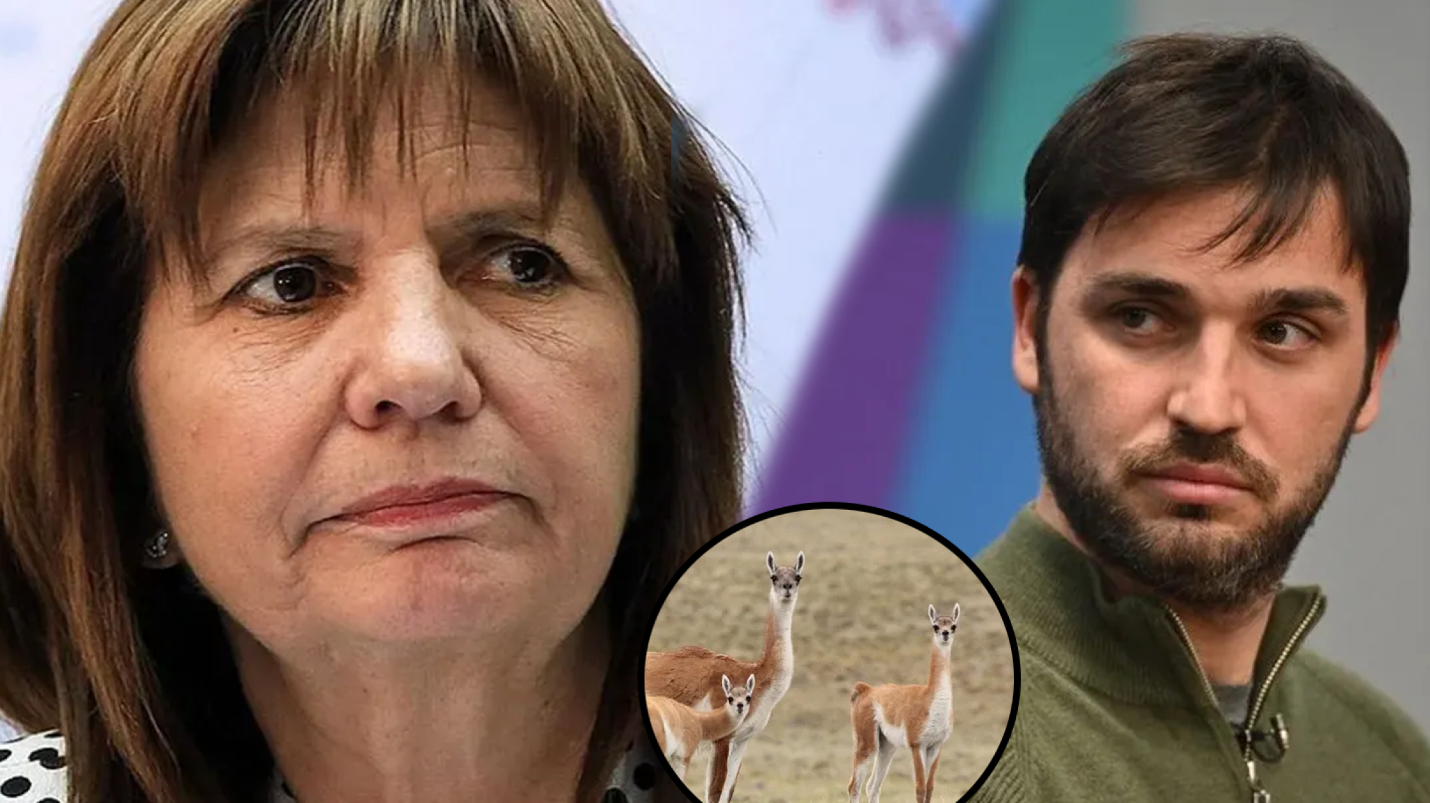 PATRICIA BULLRICH Y LOS GUANACOS