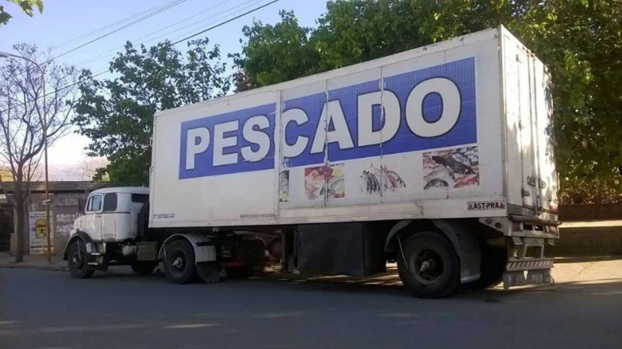 Continúan vendiendo pescado a precios accesibles en barrios de la ciudad