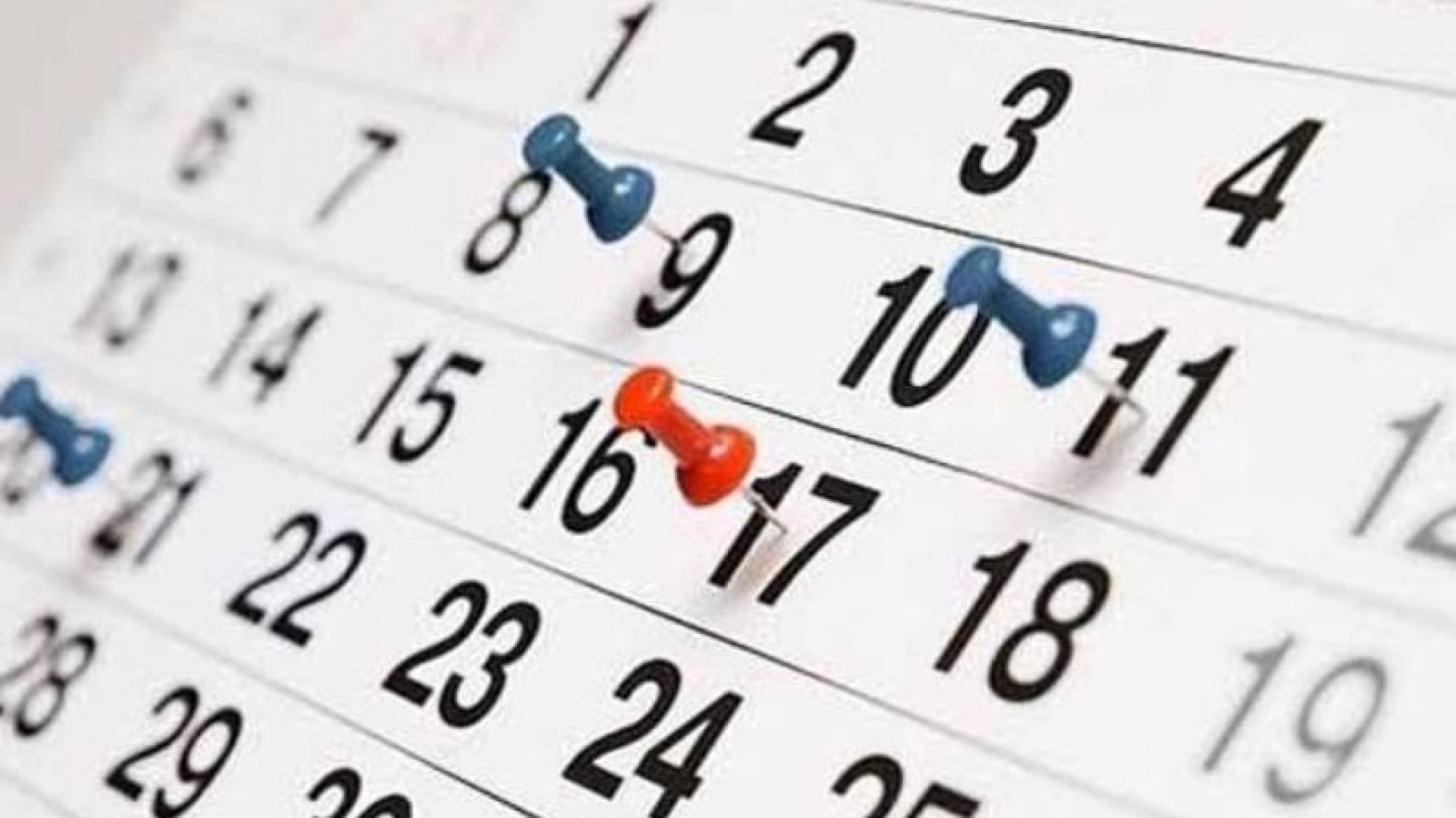 Programá tu descanso: ¿qué feriados habrá en junio?