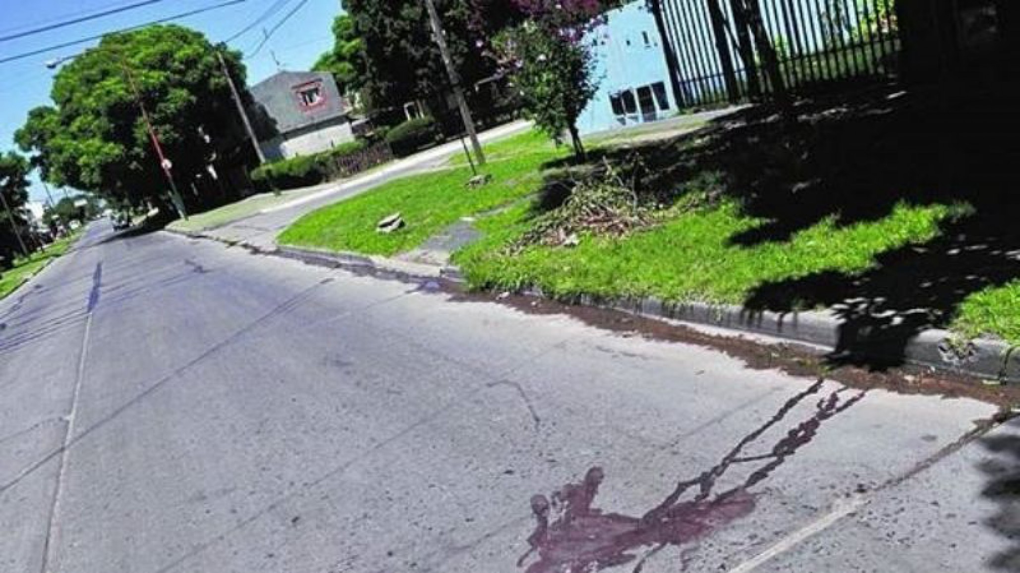 Robó, le pegaron un tiro en los testículos y acabó muerto