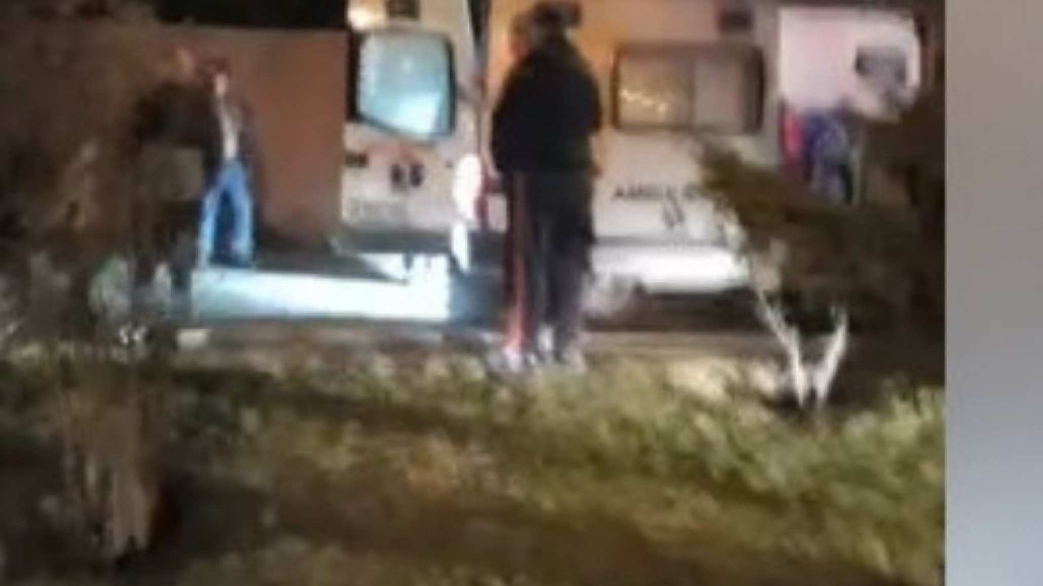 Una persona se arrojó al río Chubut y los bomberos pudieron salvarlo