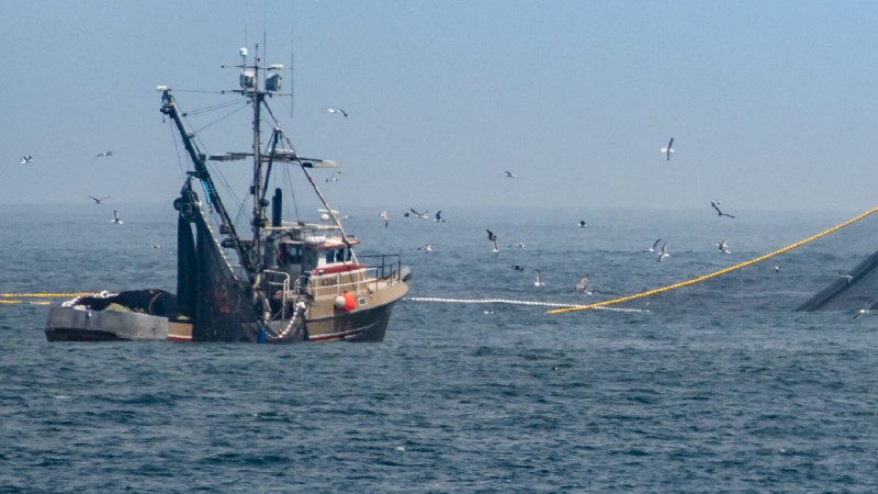 Un buque de Santa Cruz saldrá a la pesca para poder abastecer a comedores escolares