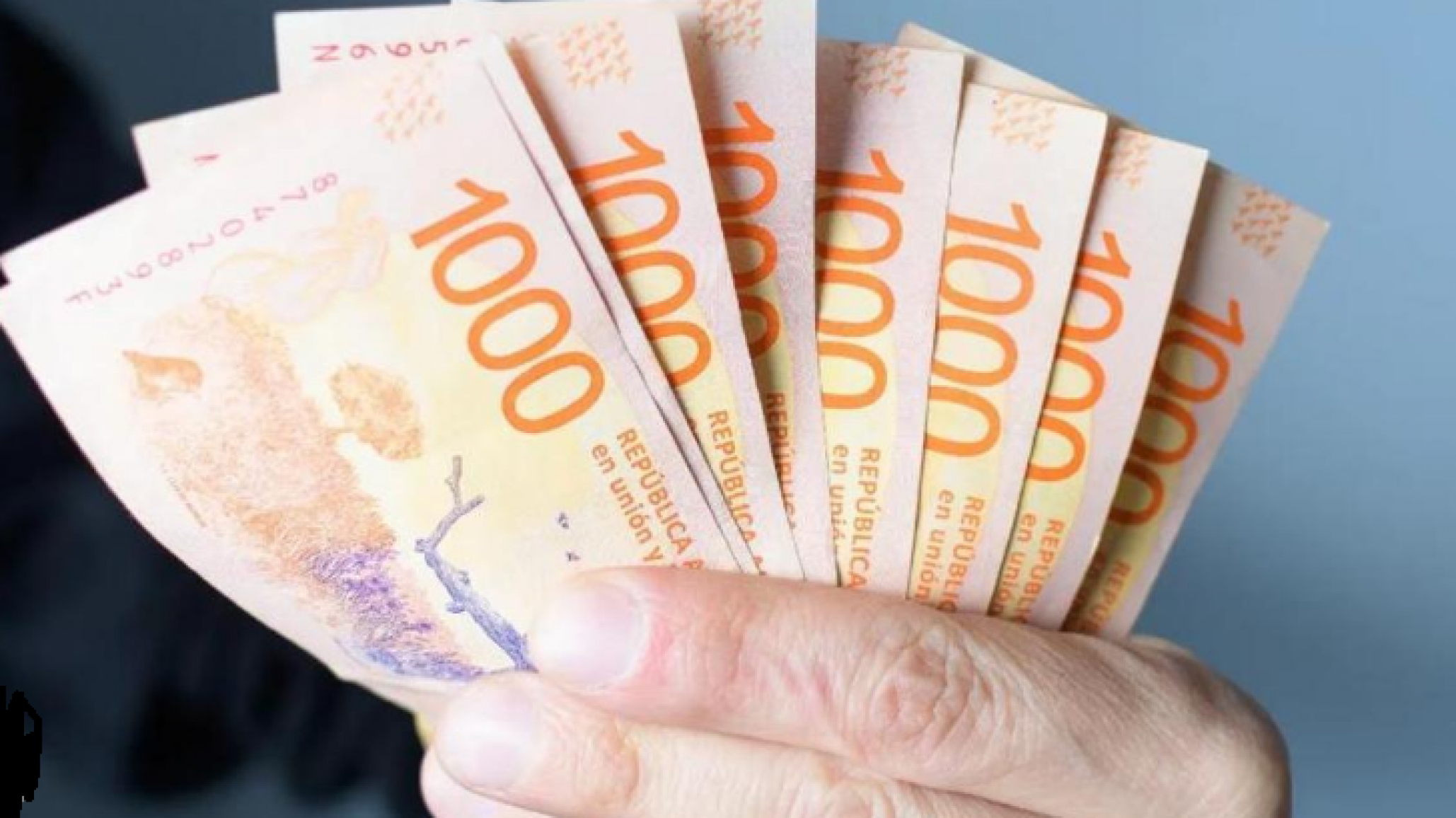 ¿Cuánto pagará el plazo fijo? Algunos bancos ya recortaron hasta 40 puntos las tasas