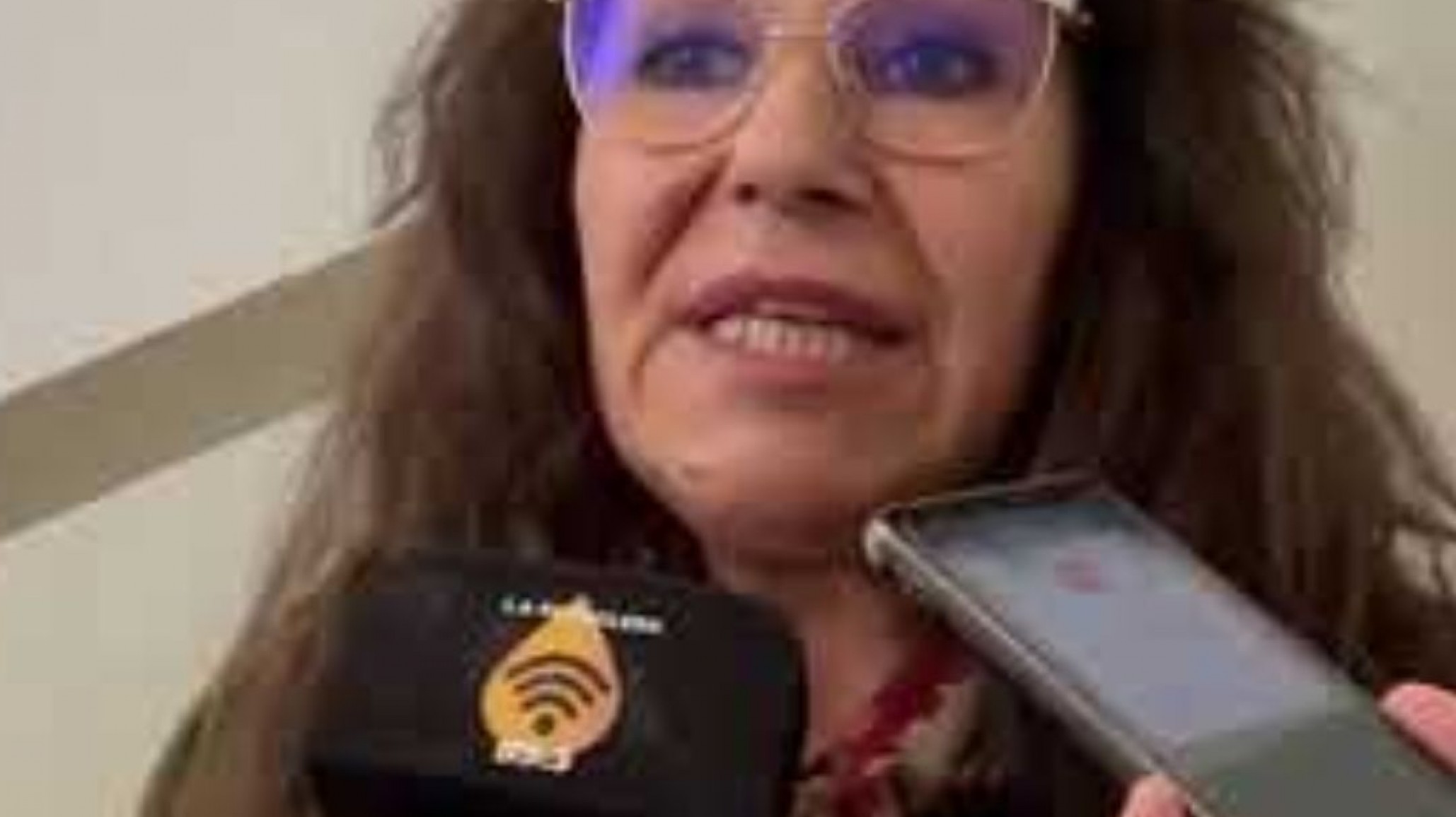 La doctora Avila Torrente expuso la precariedad en Fuero de Familia "así no podemos seguir"
