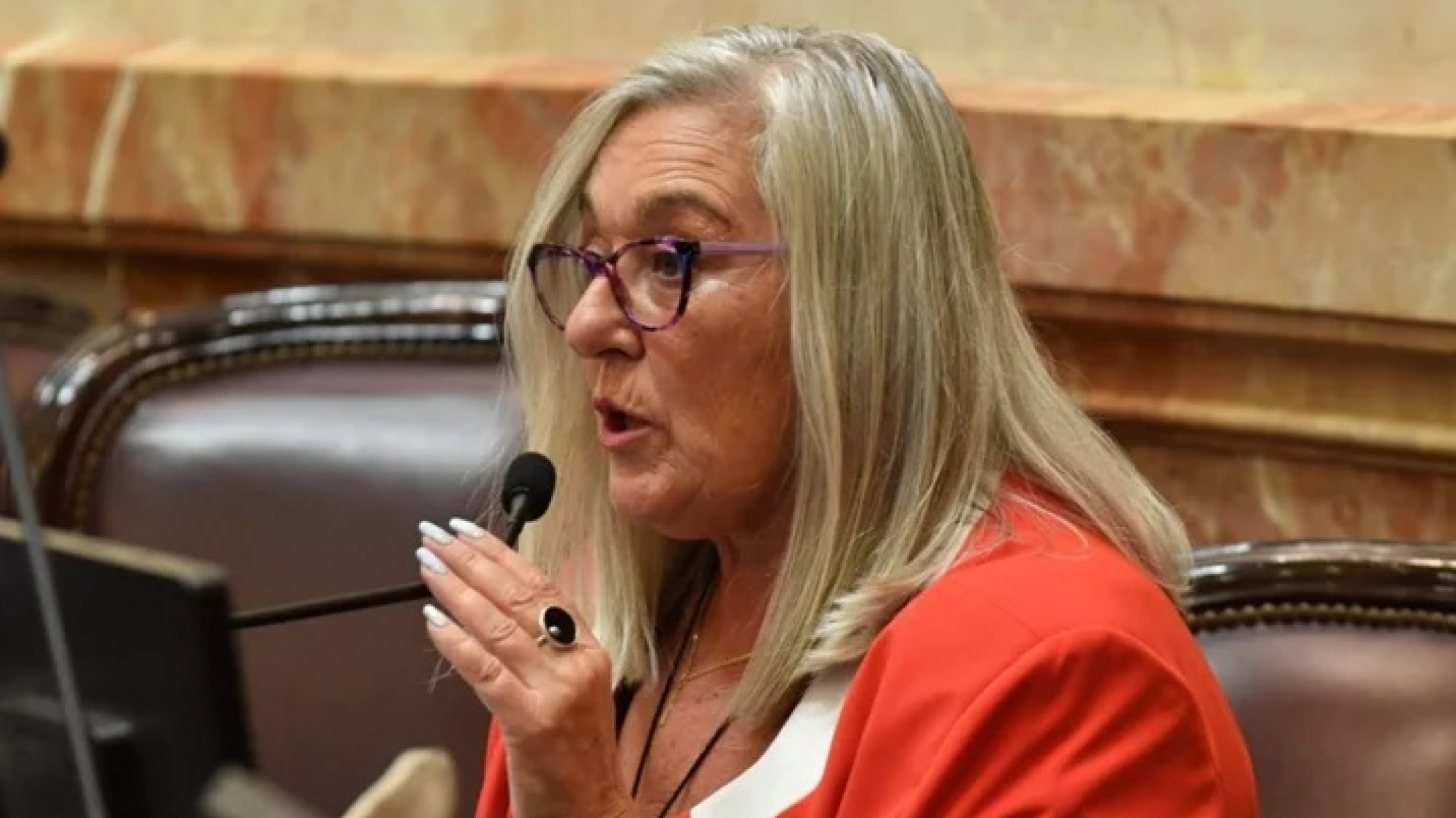 Amenazaron de muerte a la senadora Terenzi: "Cuando te crucemos por la calle, te vamos a matar"