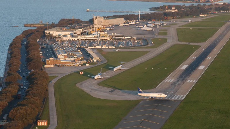 Aeroparque Jorge Newbery: desalojaron la zona por la presencia de un puma suelto
