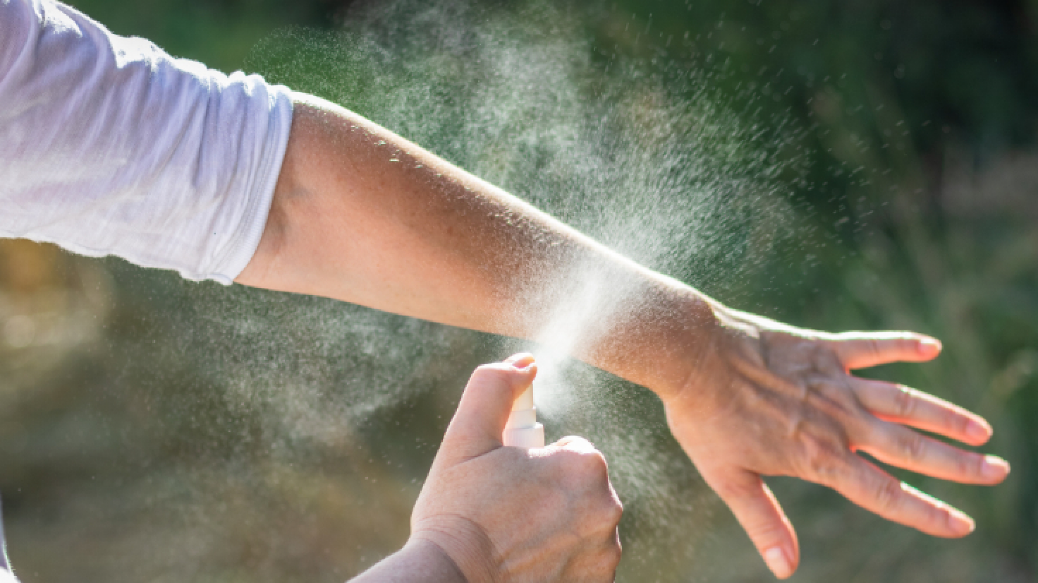 Epidemia de dengue: Se abre la importación de repelentes para mosquitos